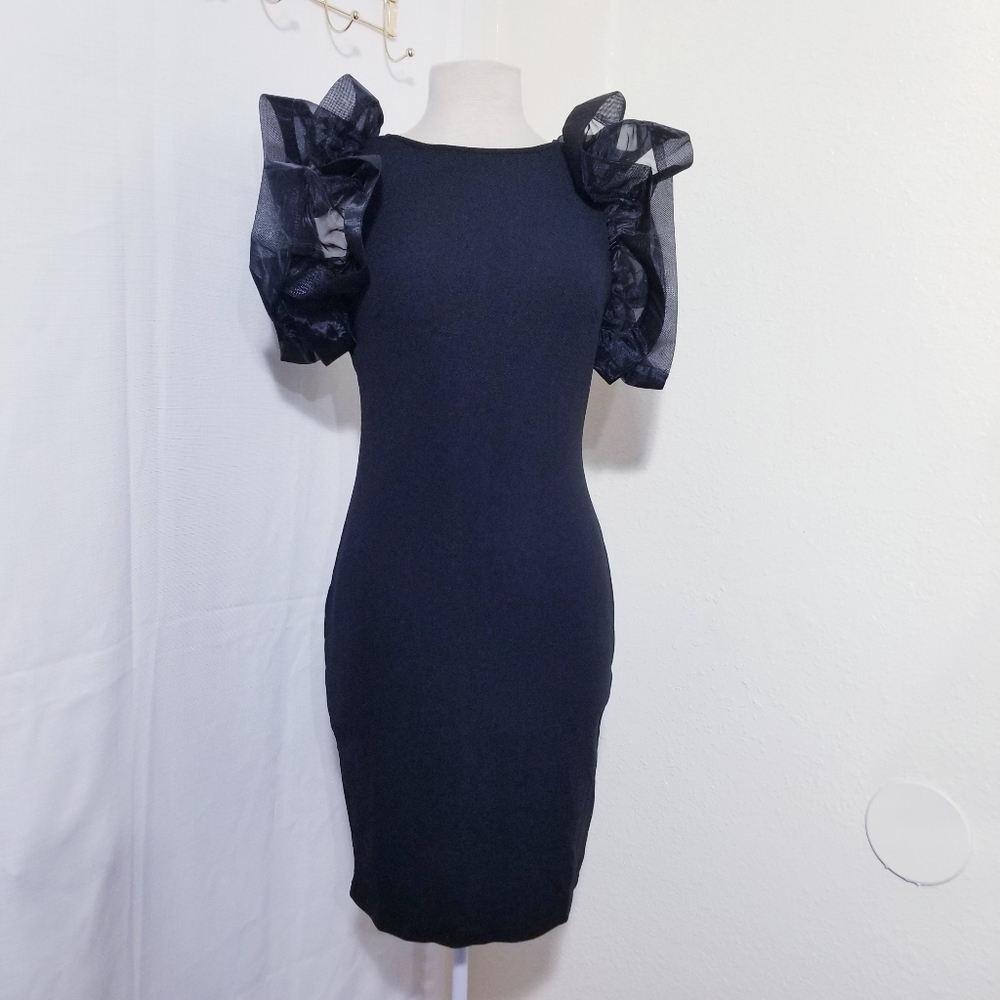Cute ,Organza sleeves, bodycon dress, low back detail,unique